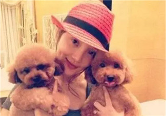 養(yǎng)寵物的孕婦應該做哪些檢查 為什么明星懷孕了能養(yǎng)寵物