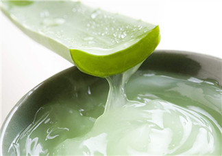蘆薈美容功效多 產后正確使用更漂亮