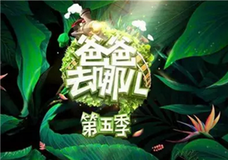 《爸爸去哪兒》周杰倫女兒干爹劉畊宏是嘉賓 能看到周杰倫嗎？