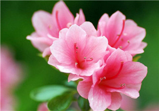 產(chǎn)后腰酸背痛的原因  如何緩解癥狀