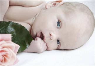 新生兒肺部有問題 可能是因為媽媽太胖