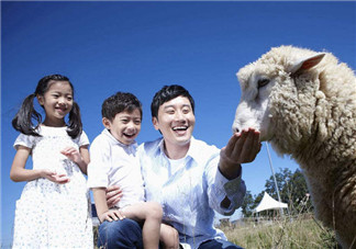 適合爸爸讀的胎教故事 準(zhǔn)爸爸胎教的方式有哪些