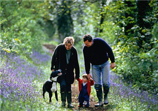 趙薇如何教育出乖巧小四月？趙薇的育兒經(jīng)是什么？