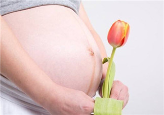 孕婦不能養(yǎng)什么花草 孕婦適合養(yǎng)哪些花草(適合孕婦養(yǎng)的花草名單)