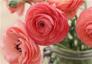 產(chǎn)后排尿難的原因  如何促進(jìn)排尿