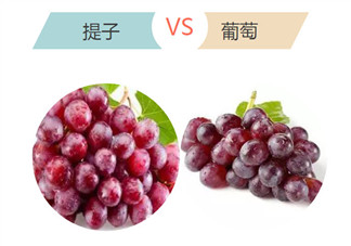 孕婦吃哪一種葡萄好 孕婦吃葡萄好還是提子好