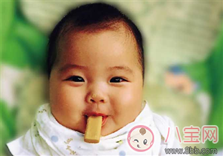寶寶多大吃磨牙餅干 磨牙餅干幾個(gè)月開始吃