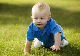 嬰幼兒爬行期  發(fā)展感知能力